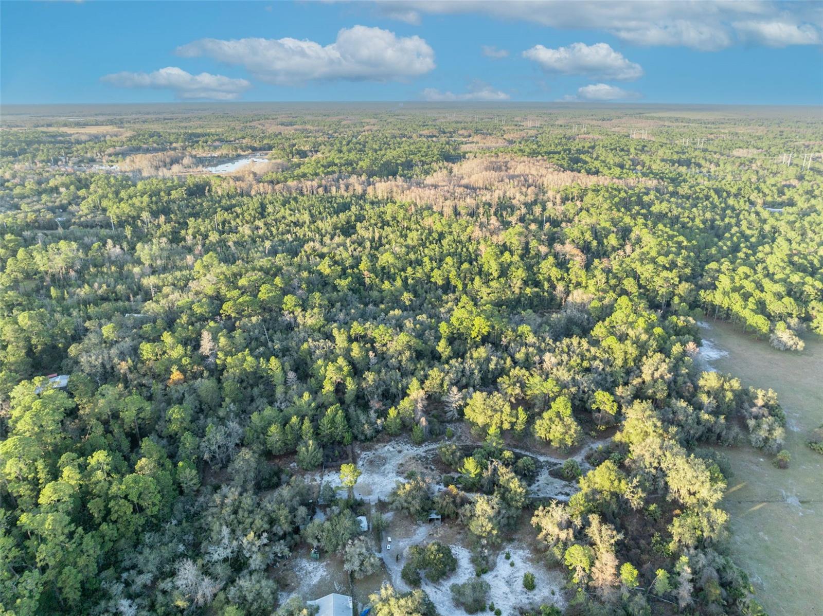 Image 7 of 11 For Willow Pond Lane