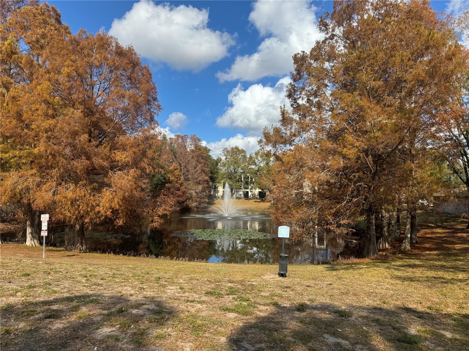 Image 10 of 30 For 7605 Pissarro Drive 13108