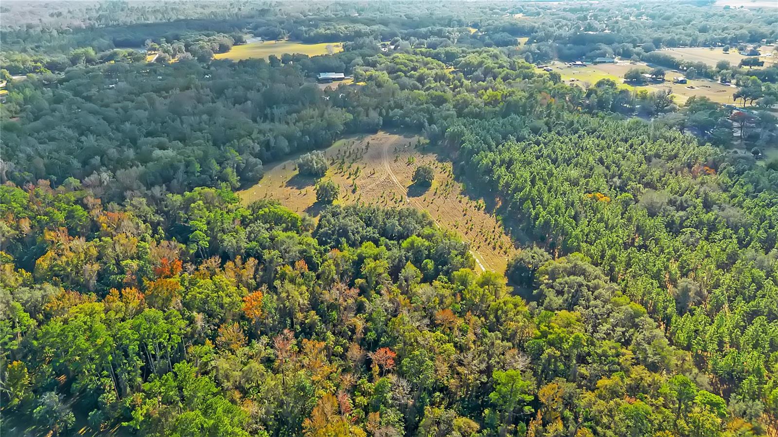 Image 65 of 71 For 27737 County Road 44a