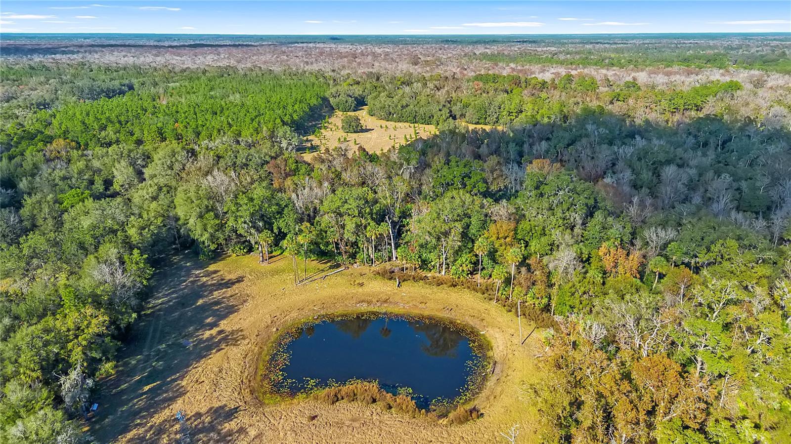 Image 66 of 71 For 27737 County Road 44a