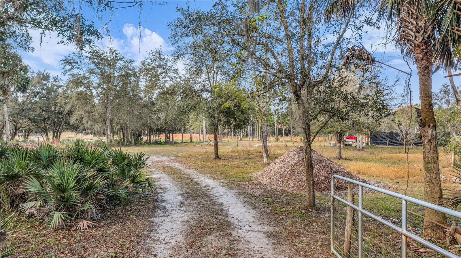 Image 4 of 34 For  Waccassa St  