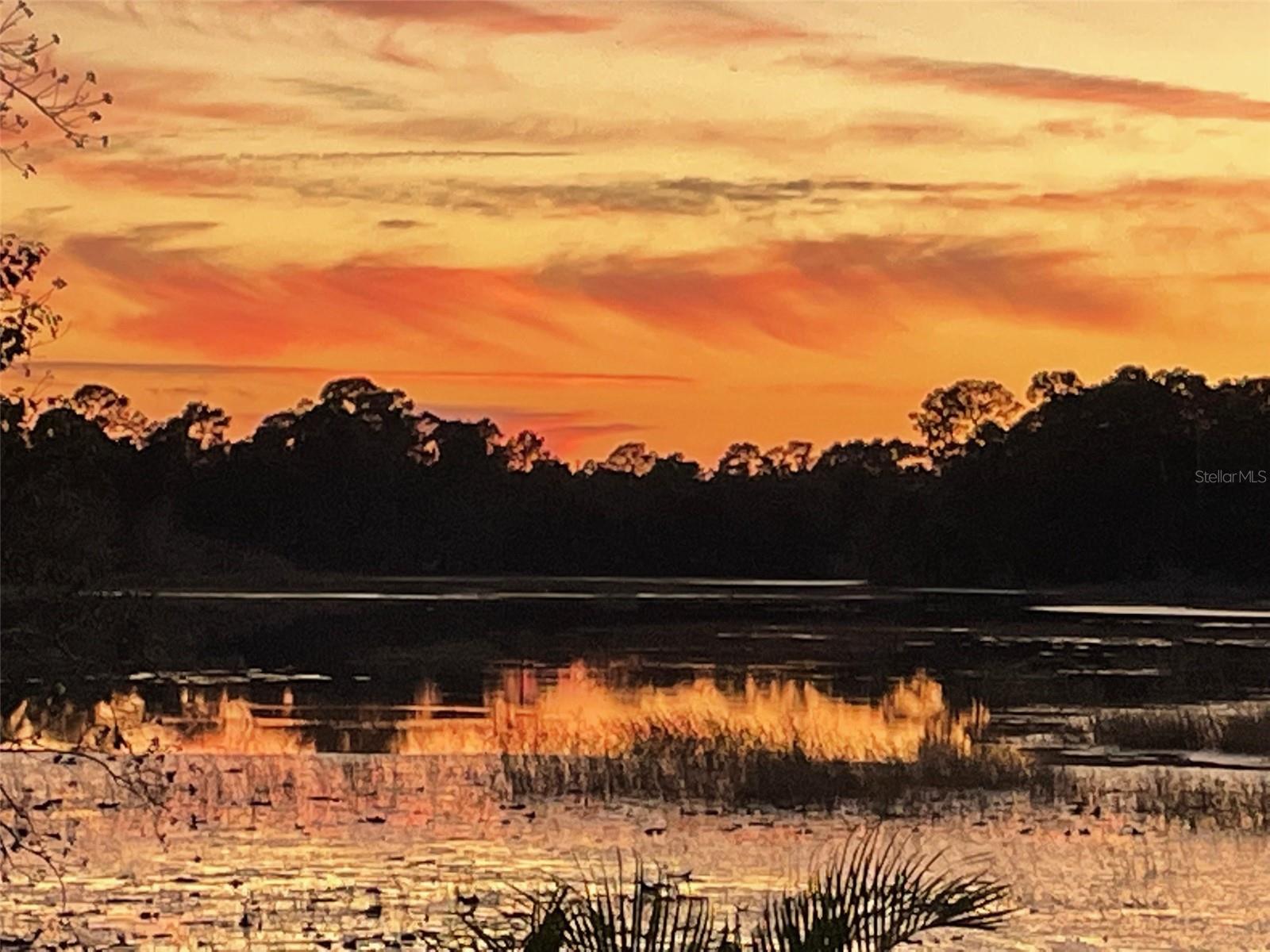 Image 64 of 66 For 2964 Little Court