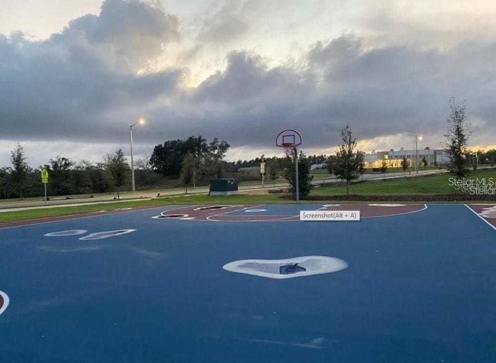 Image 16 of 17 For 15187 Chapter Way