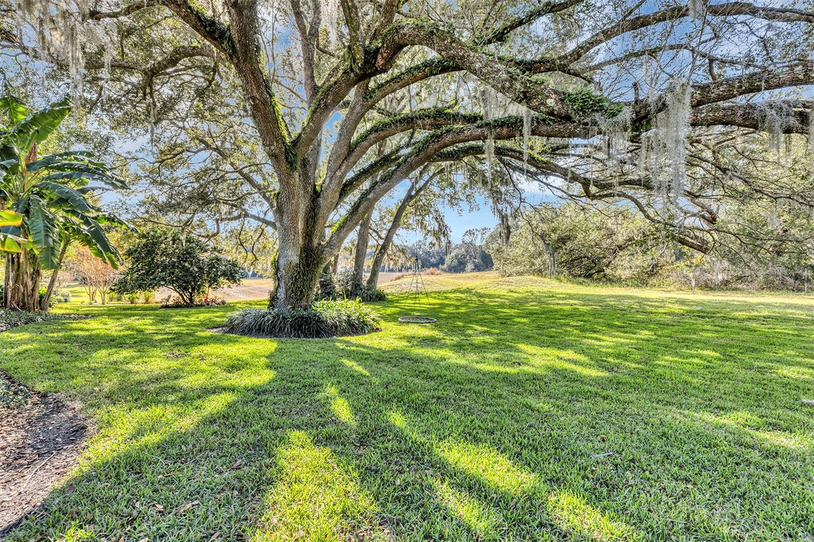 Image 5 of 34 For 380 Speyside Lane