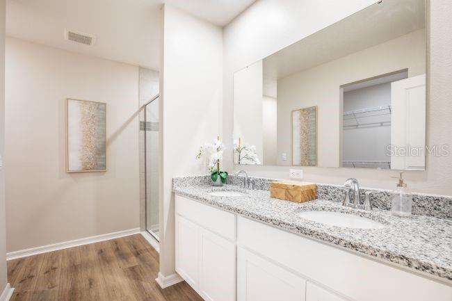 Image 13 of 23 For 31305 Albarino Drive