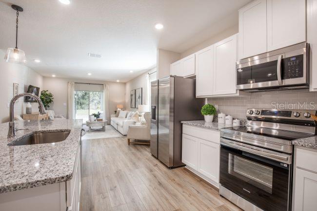 Image 4 of 23 For 31305 Albarino Drive