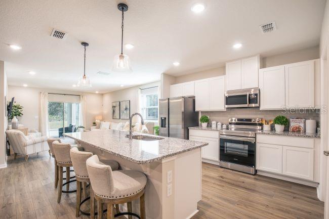 Image 5 of 23 For 31305 Albarino Drive