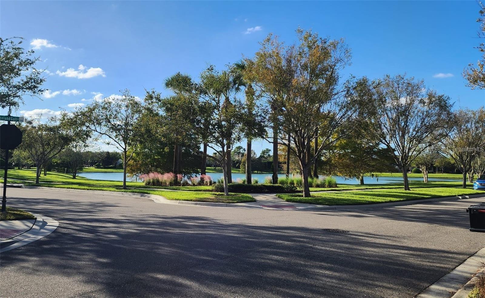 Image 4 of 32 For 7905 Iceland Gull Street