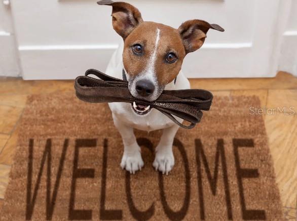 Image 30 of 30 For 31563 Wild Grape Lane