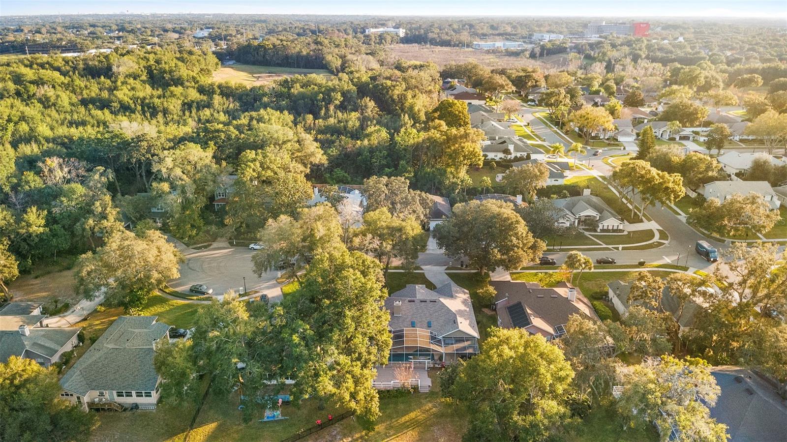 Image 42 of 43 For 1105 Wineberry Court