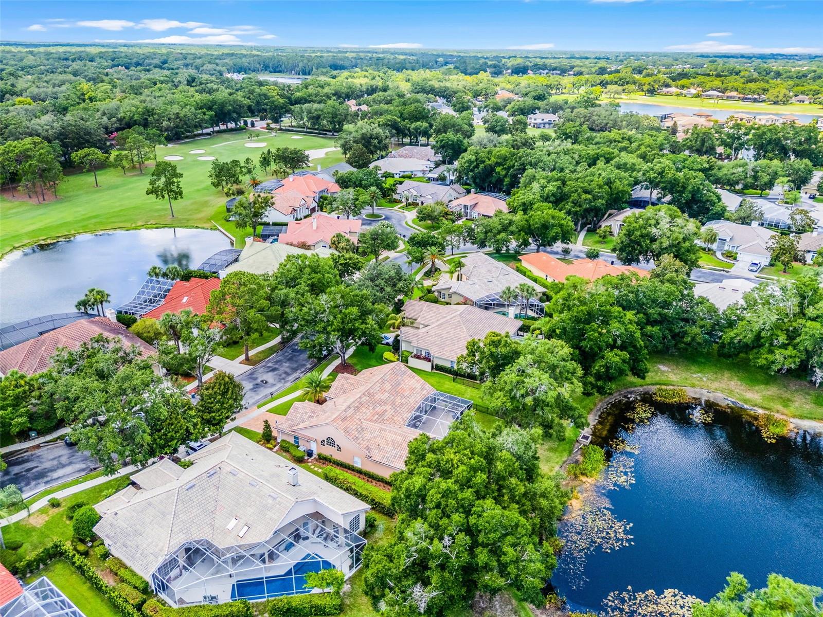 Image 60 of 78 For 174 Promenade Circle