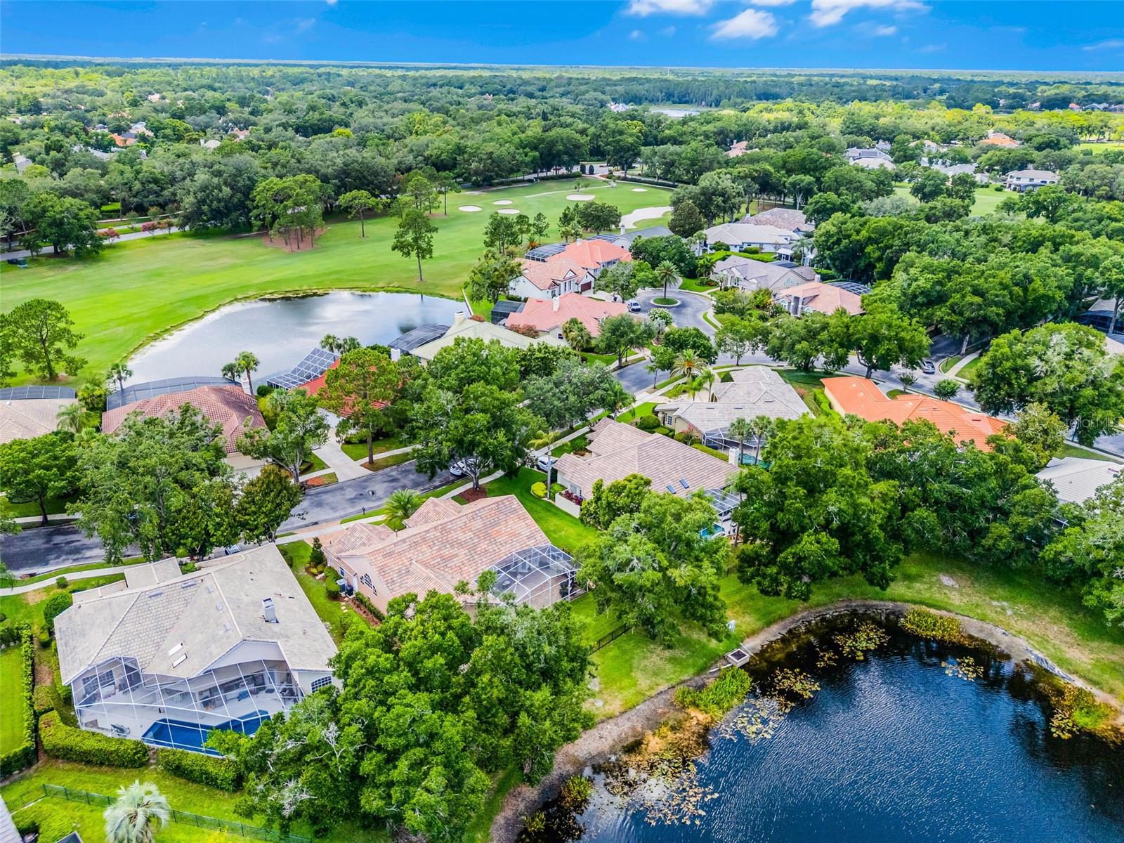 Image 61 of 78 For 174 Promenade Circle