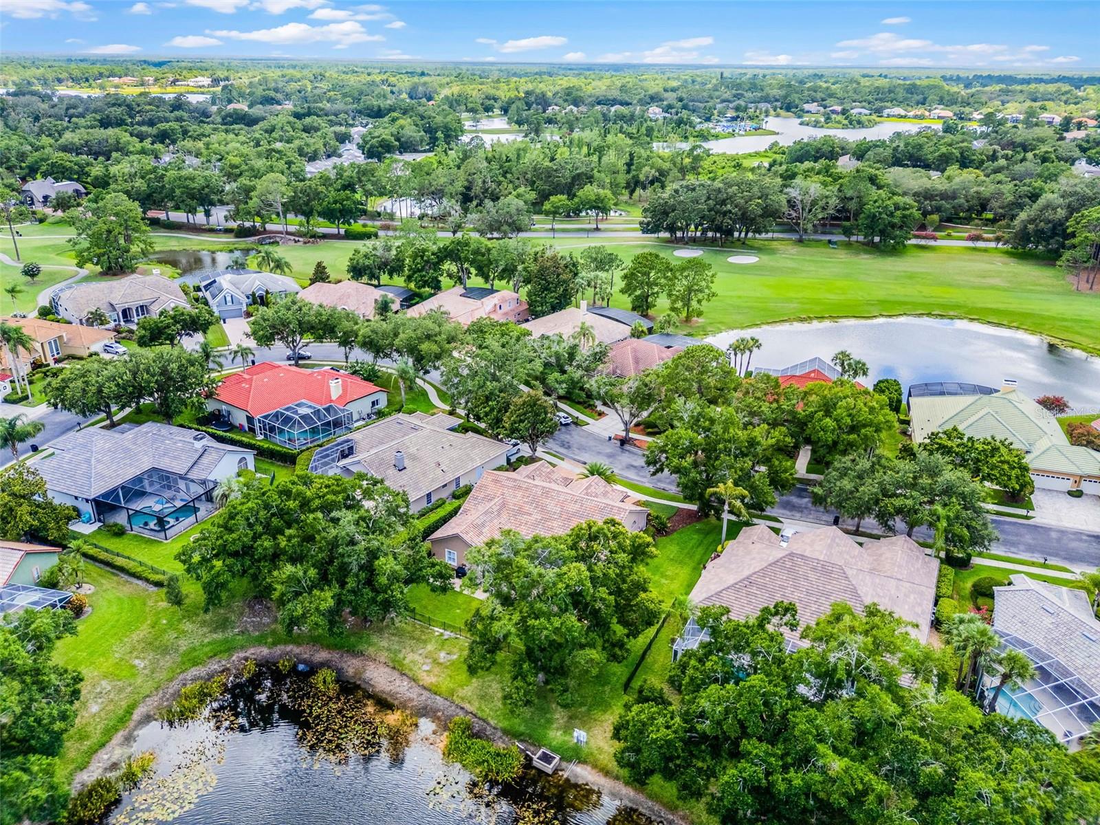 Image 63 of 78 For 174 Promenade Circle