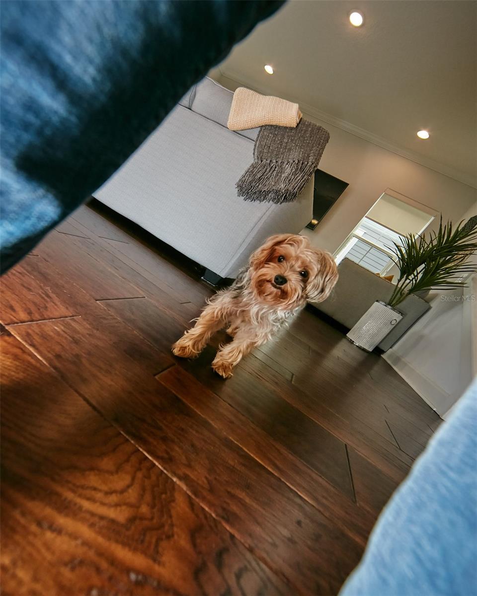 Image 21 of 79 For 13408 Beebe Alley