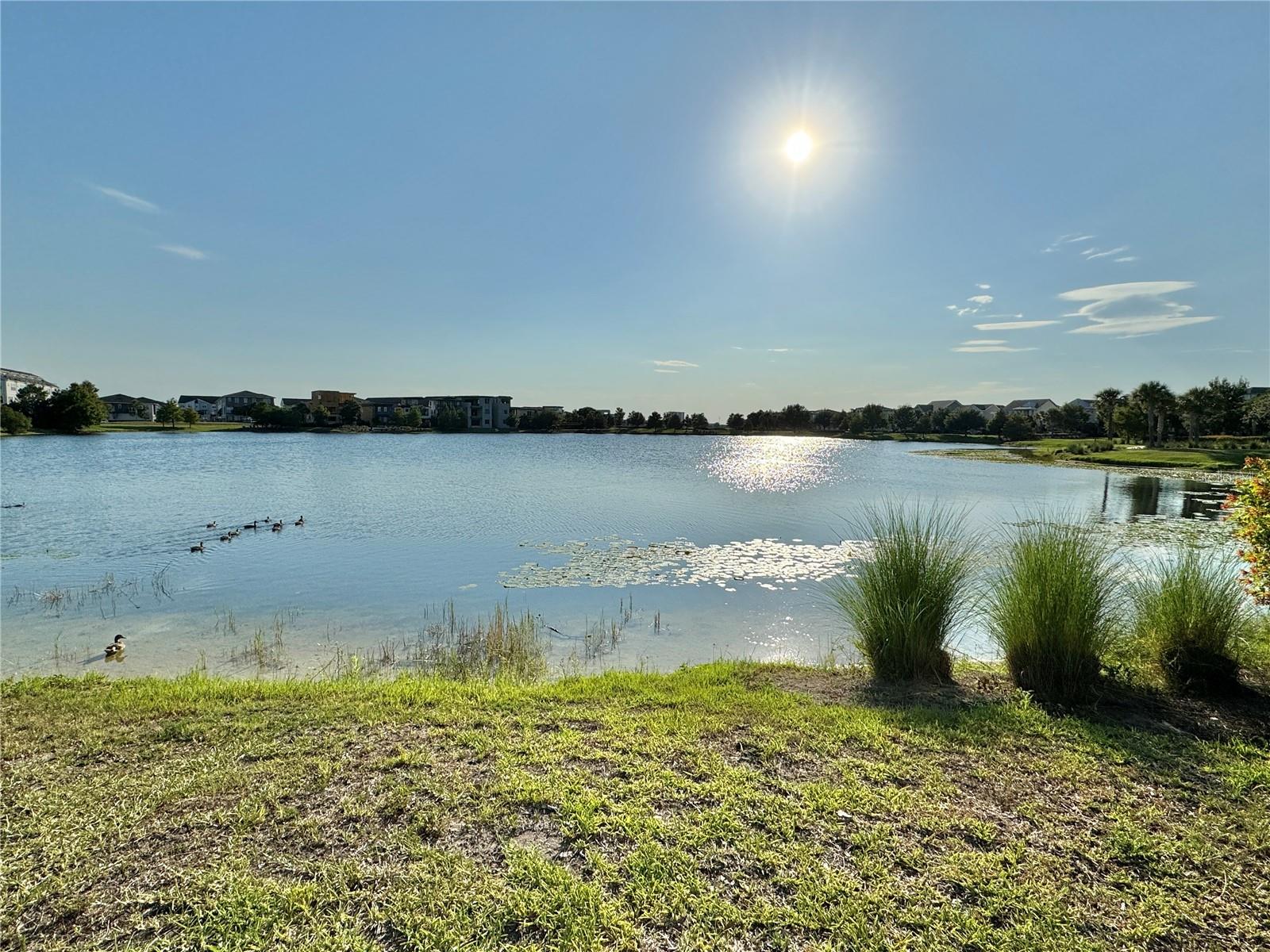 Image 54 of 79 For 13408 Beebe Alley