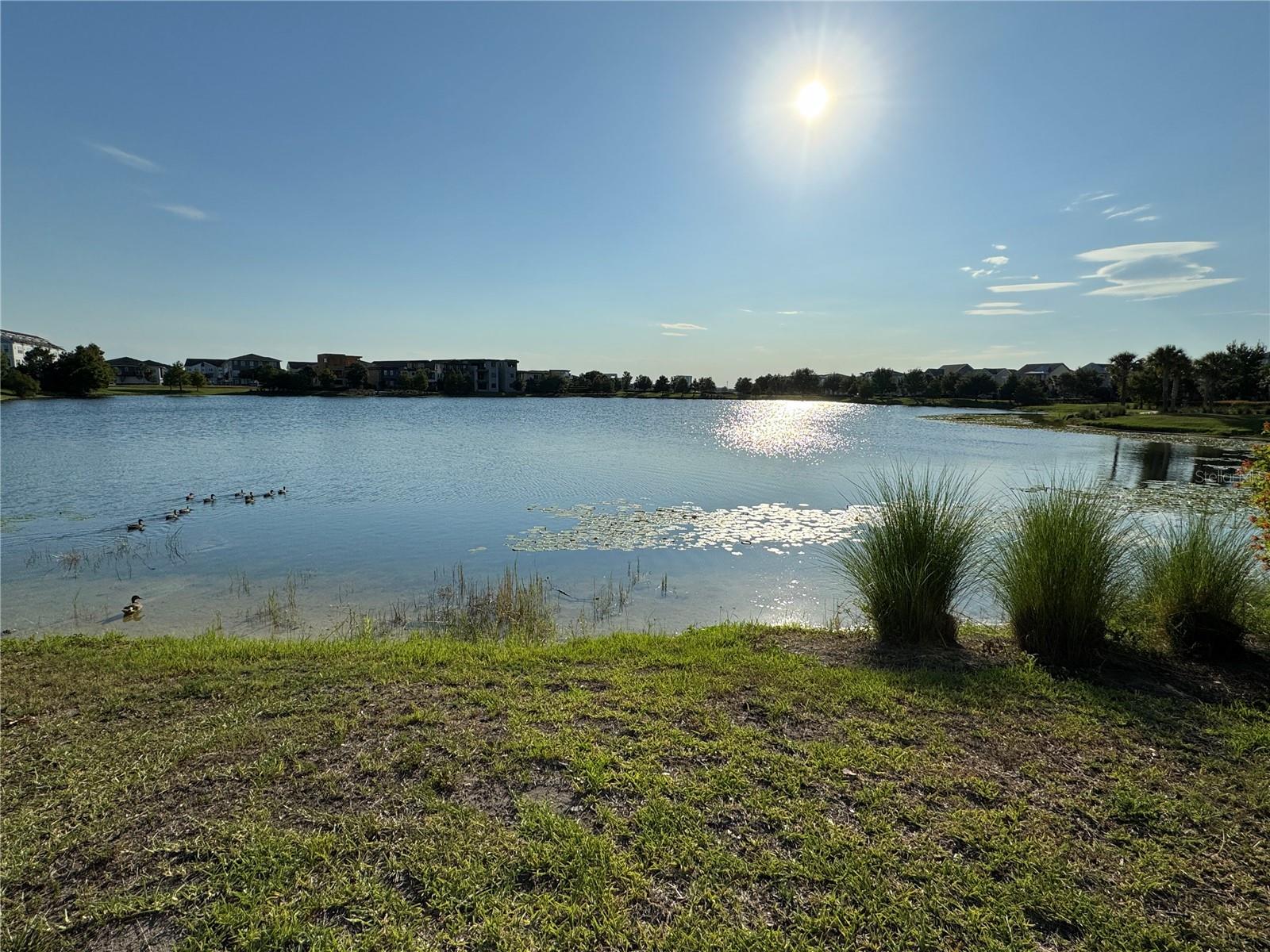 Image 55 of 79 For 13408 Beebe Alley