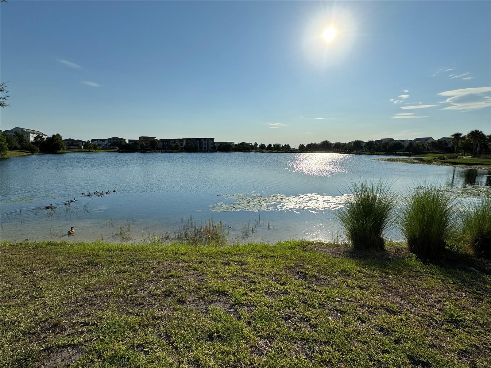 Image 56 of 79 For 13408 Beebe Alley