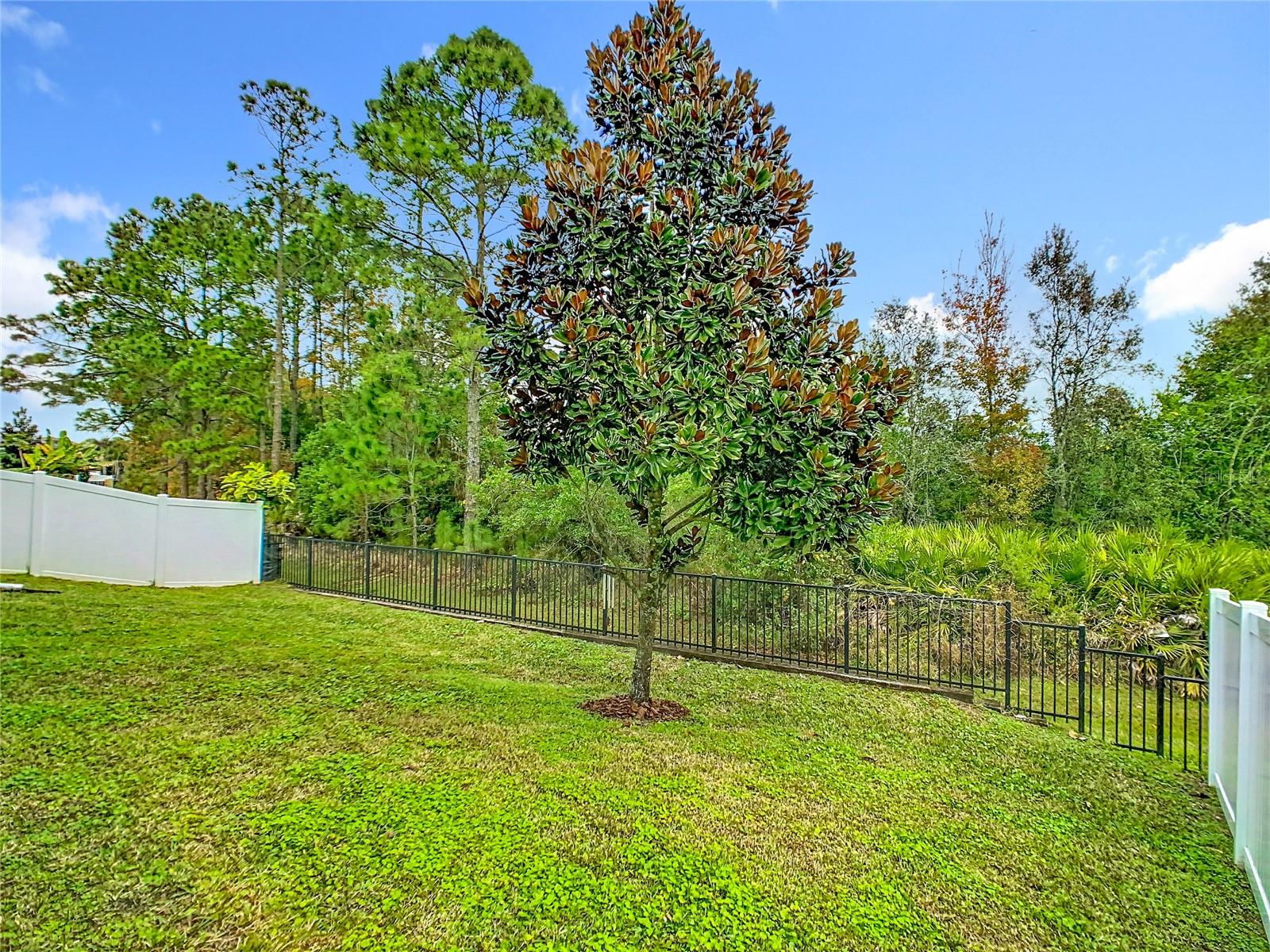 Image 43 of 49 For 10759 Petrillo Way