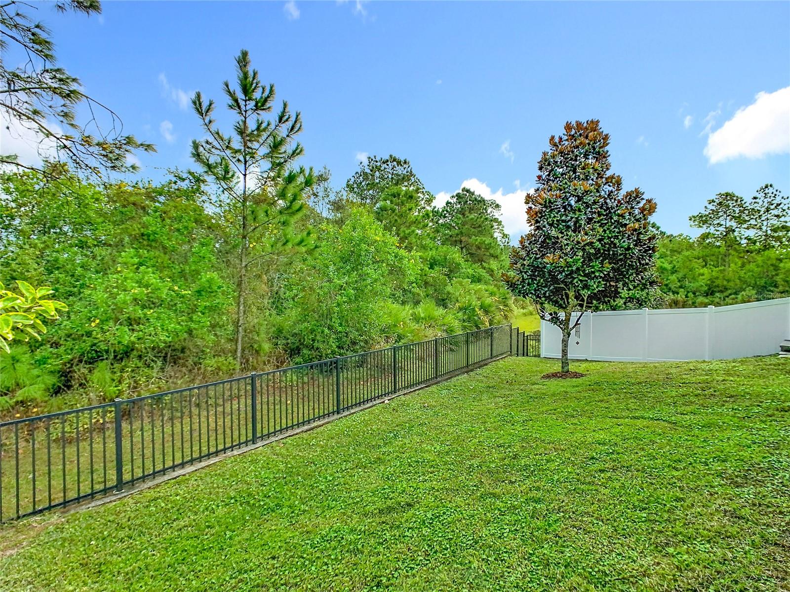 Image 44 of 49 For 10759 Petrillo Way