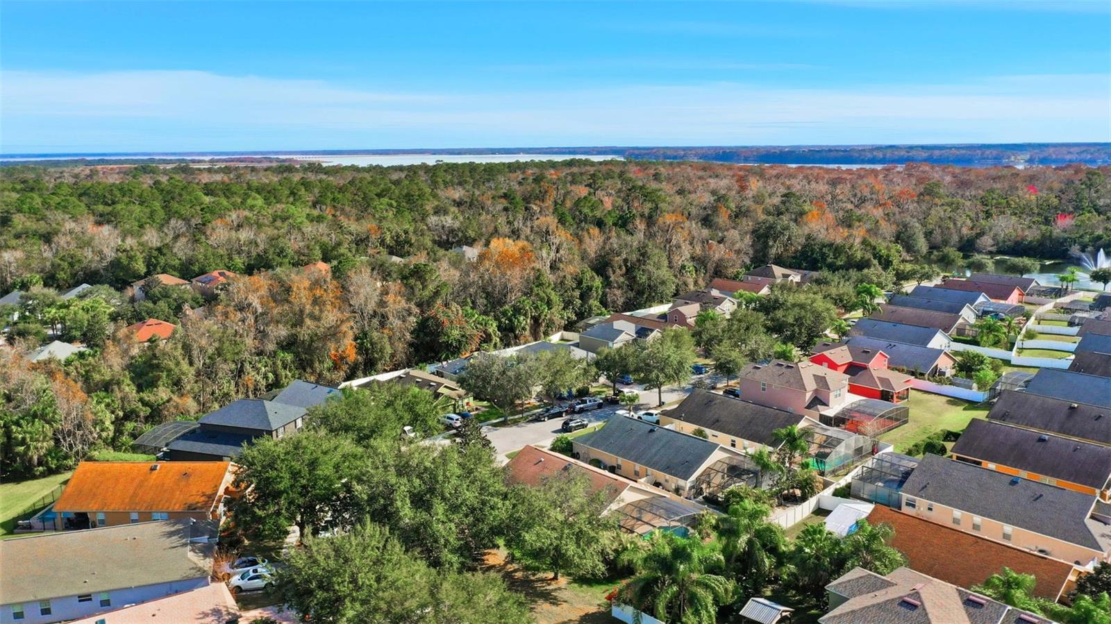 Listing photo id 42 for 5782 Great Egret Drive