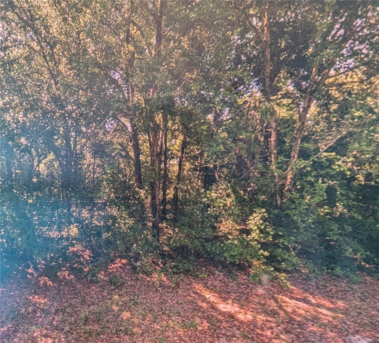 Listing Details for 8973 Bee Way, DUNNELLON, FL 34434