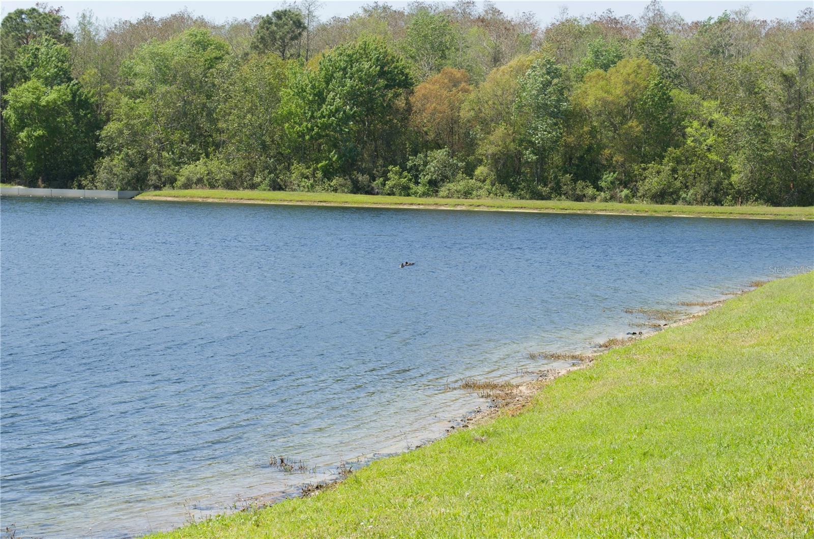 Image 20 of 24 For 6448 Goldenrod Road A