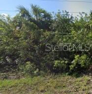 Listing Details for 886 Bitlis Street Sw, PALM BAY, FL 32908