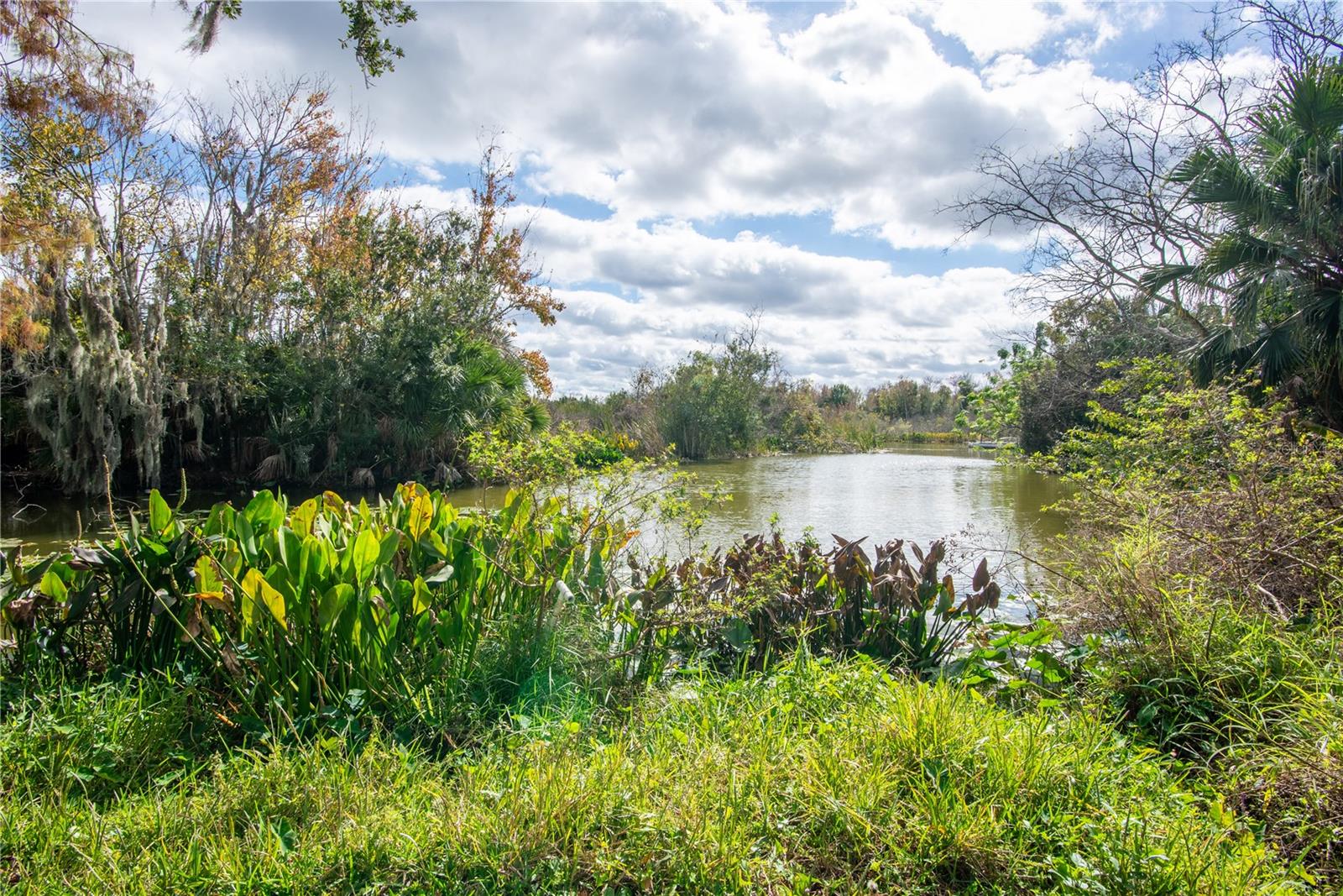 Image 29 of 29 For 17510 Rain Tree Court