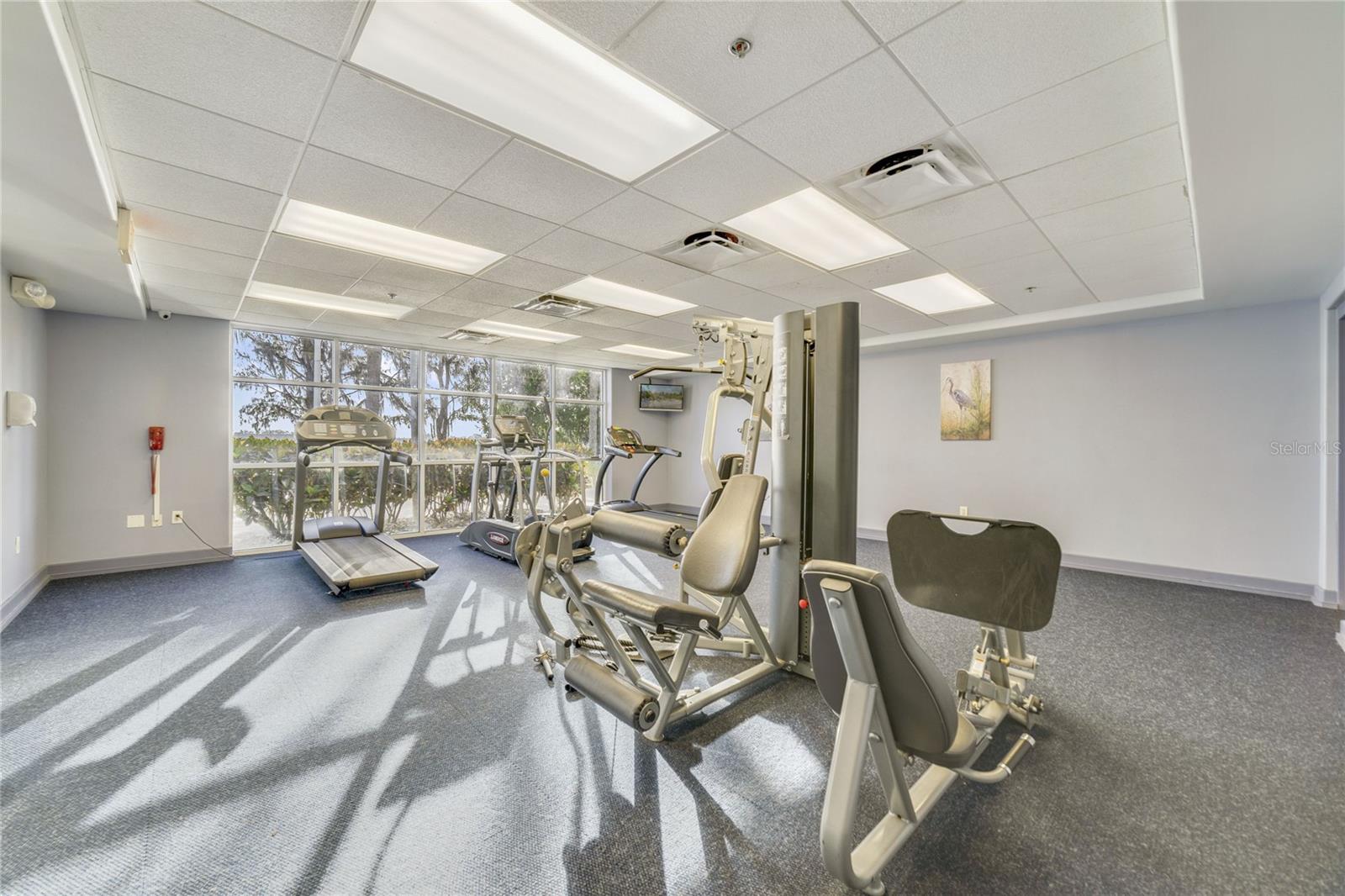 Image 29 of 37 For 13427 Blue Heron Beach Drive 1805