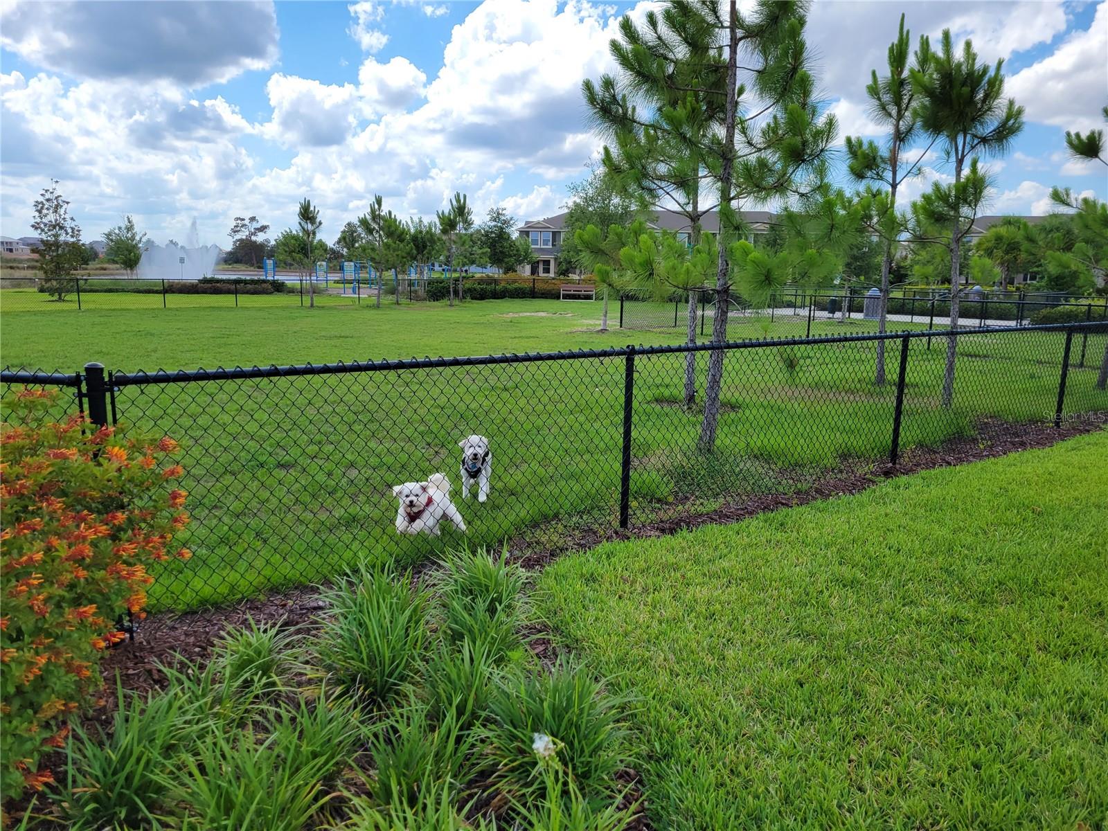 Image 68 of 71 For 16136 Wind View Lane