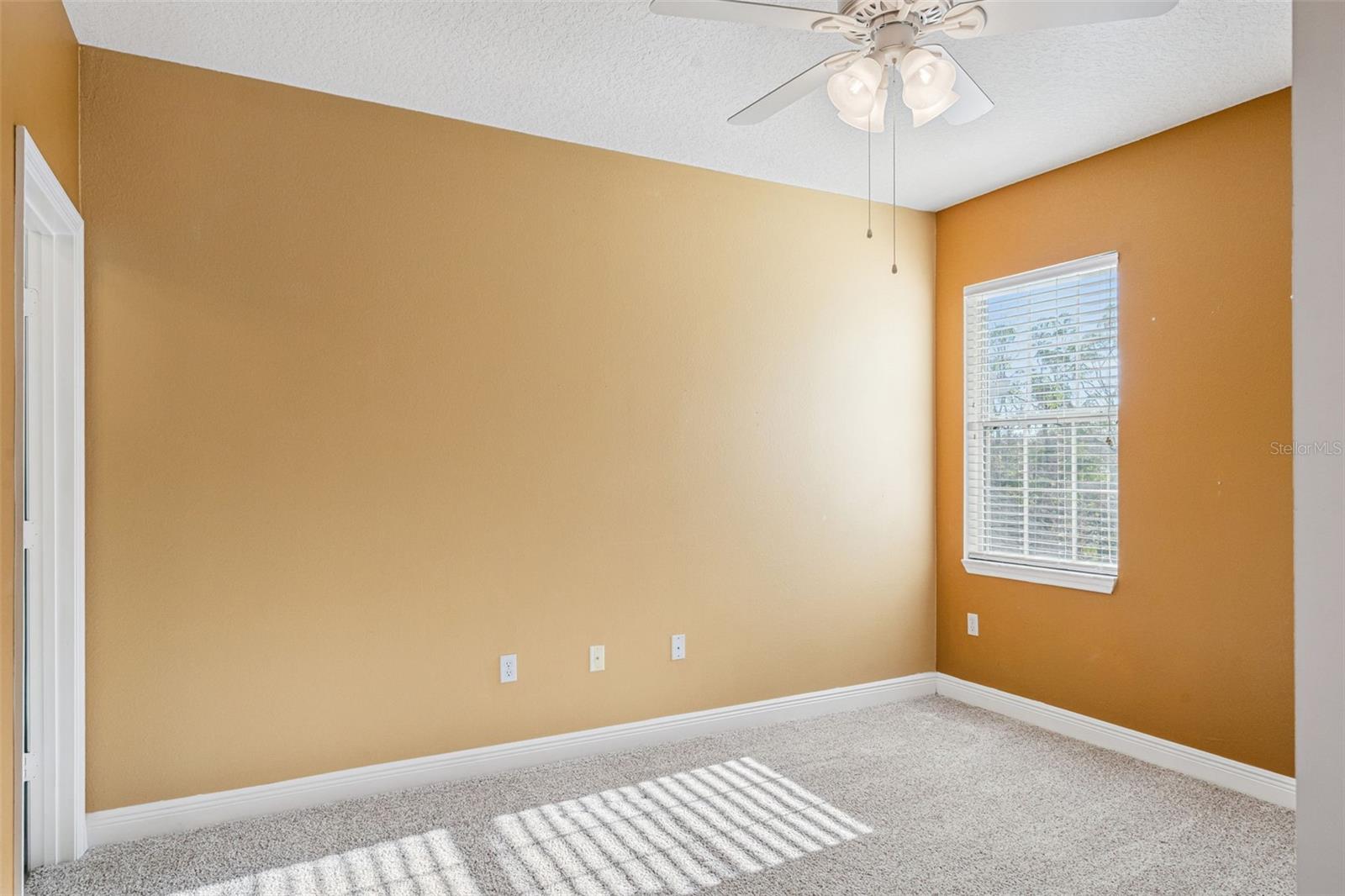 Image 19 of 42 For 316 Southern Pecan Circle 206