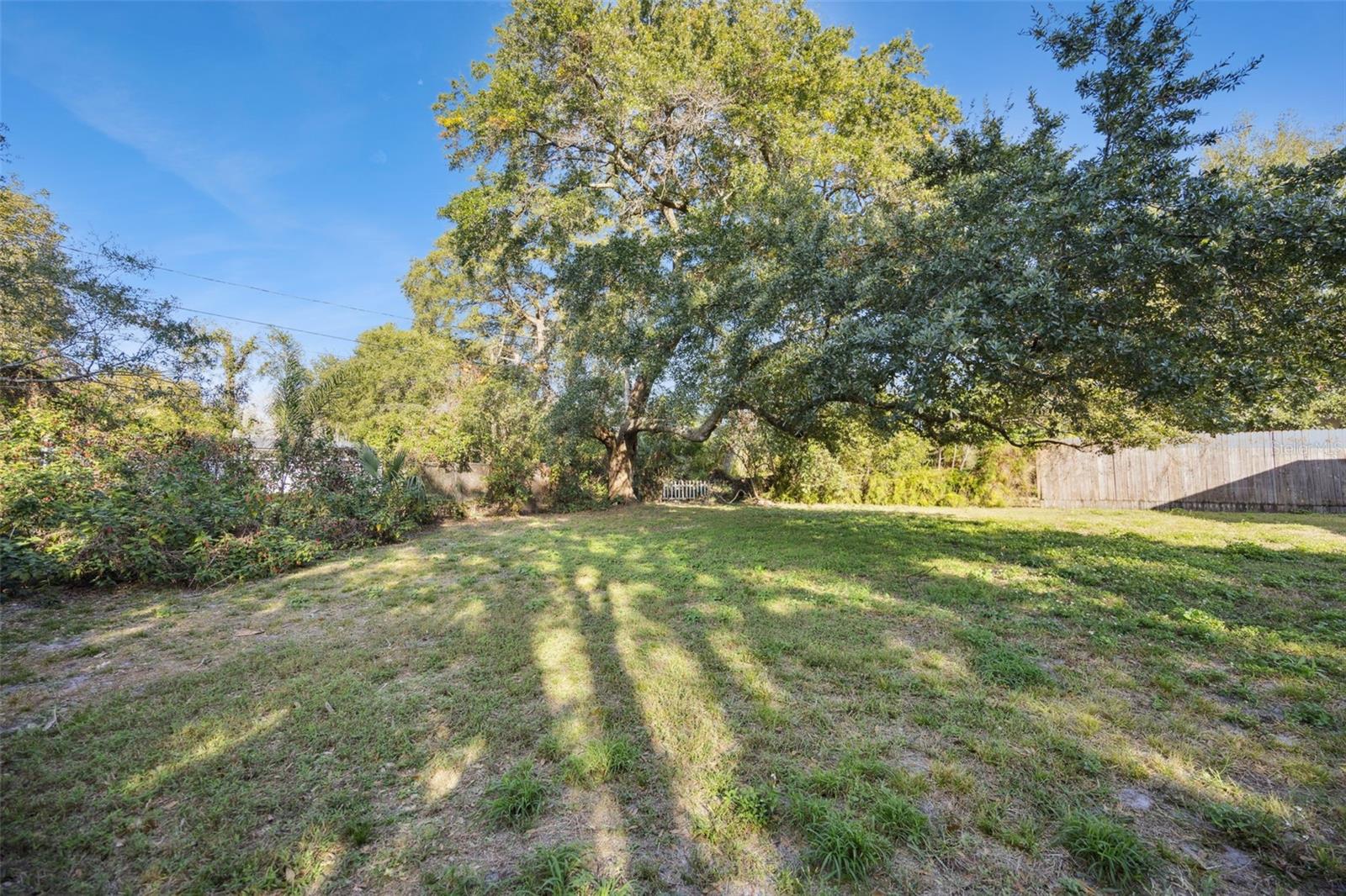 Image 20 of 20 For 1001 Alton Avenue