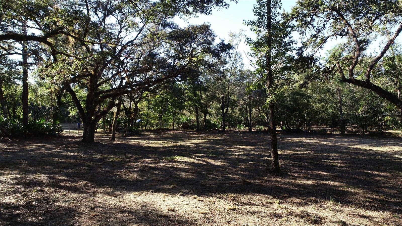 Image 10 of 12 For S County Road 13