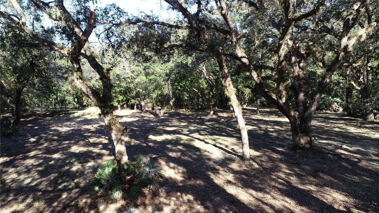 Image 5 of 12 For S County Road 13