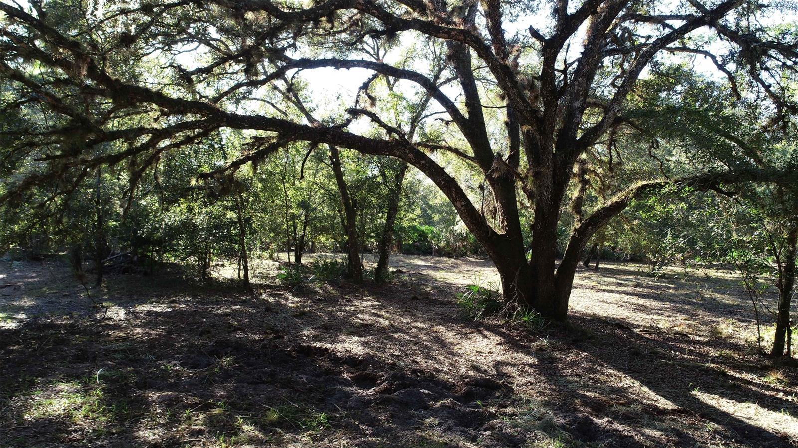 Image 6 of 12 For S County Road 13