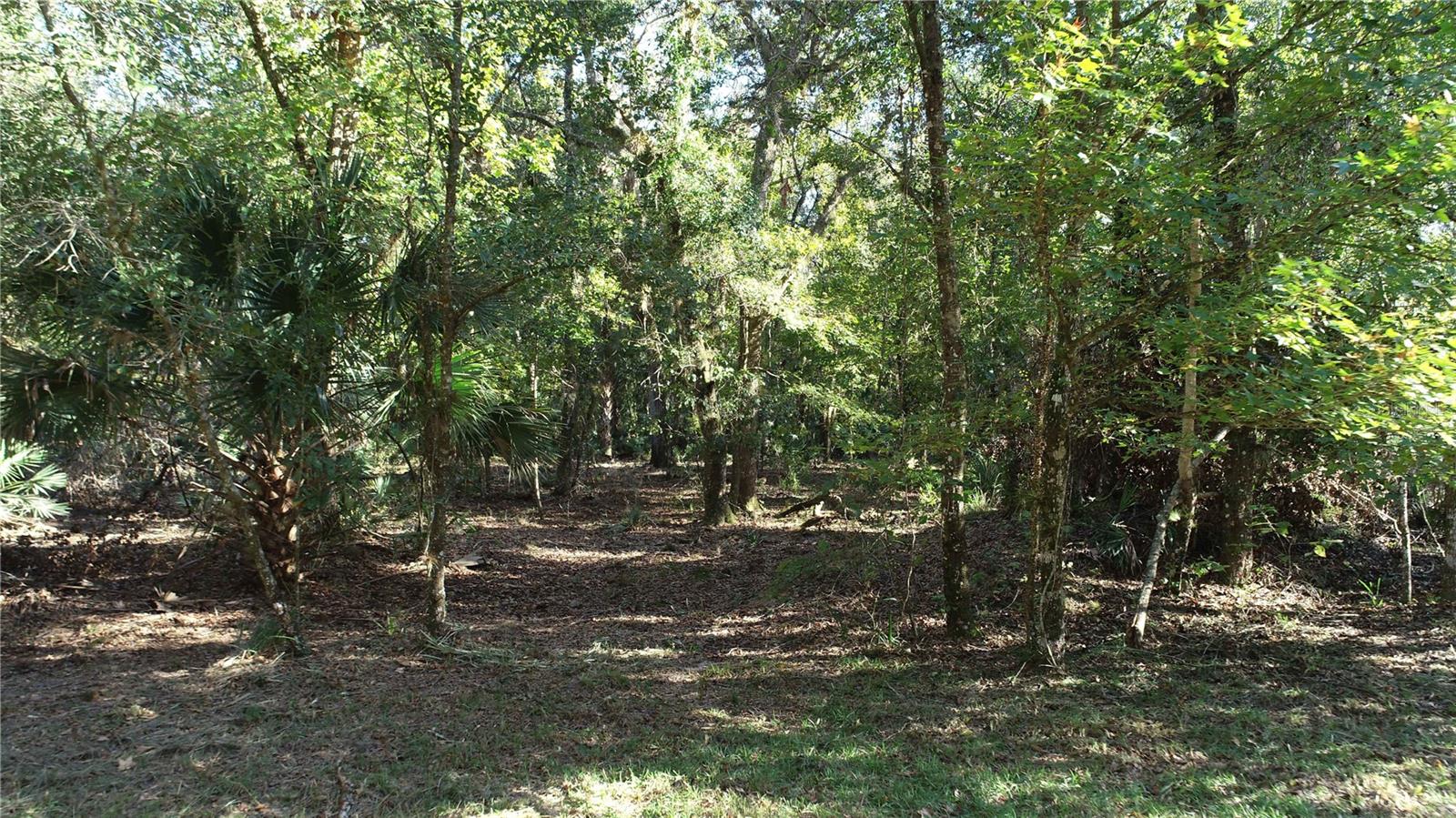 Image 8 of 12 For S County Road 13