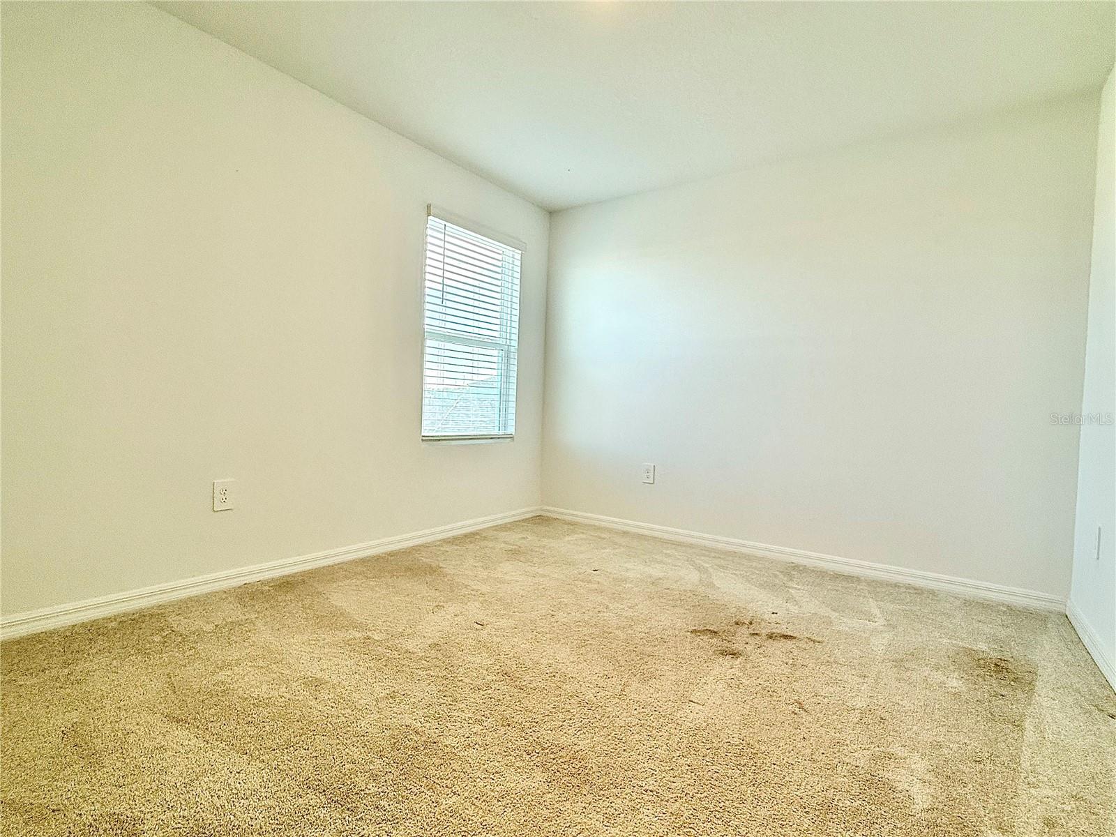 Image 19 of 41 For 646 Teviot Road