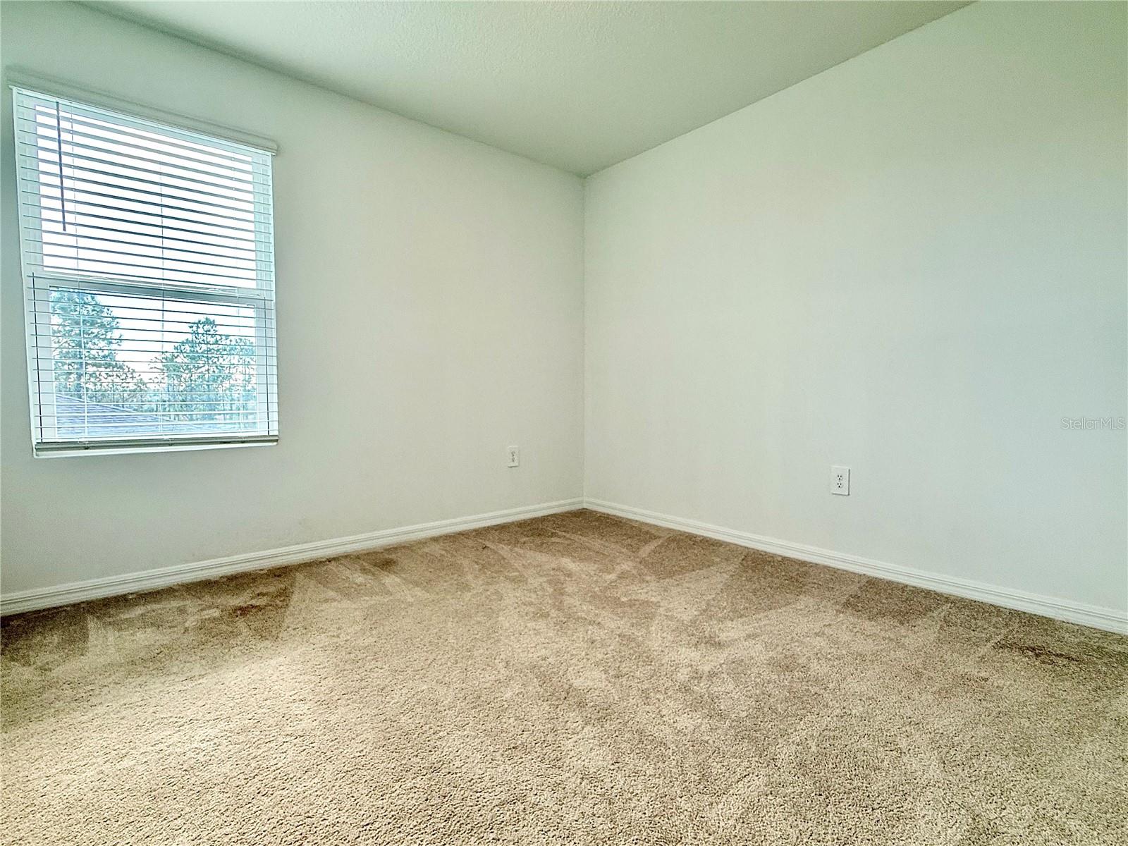 Image 22 of 41 For 646 Teviot Road