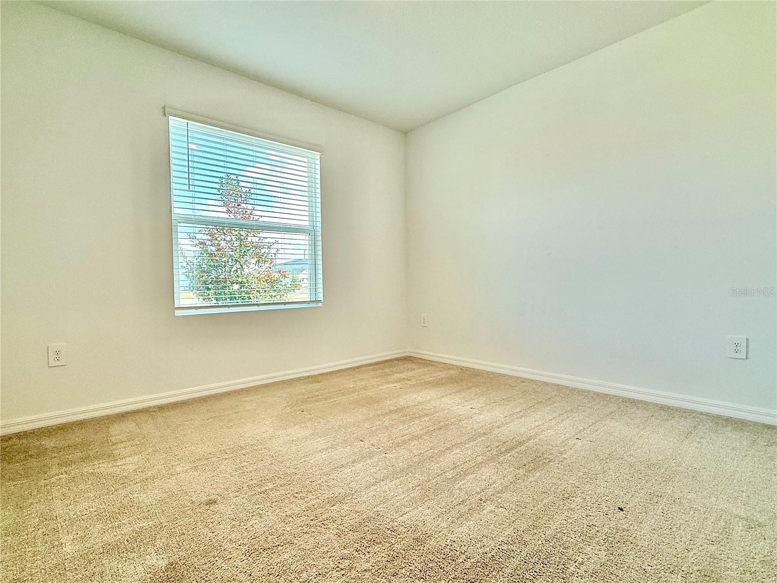 Image 3 of 41 For 646 Teviot Road