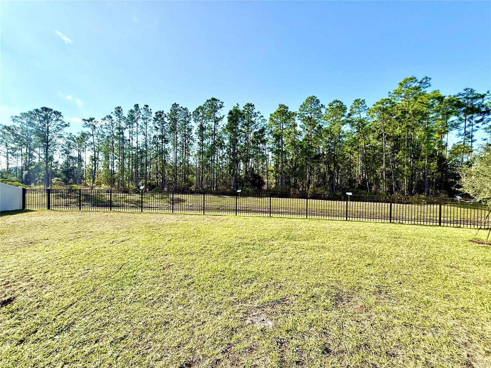 Image 36 of 41 For 646 Teviot Road