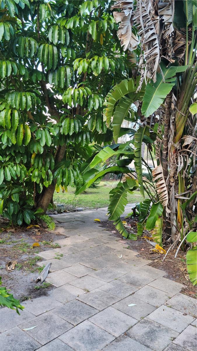 Image 17 of 19 For 1412 Cr 482n