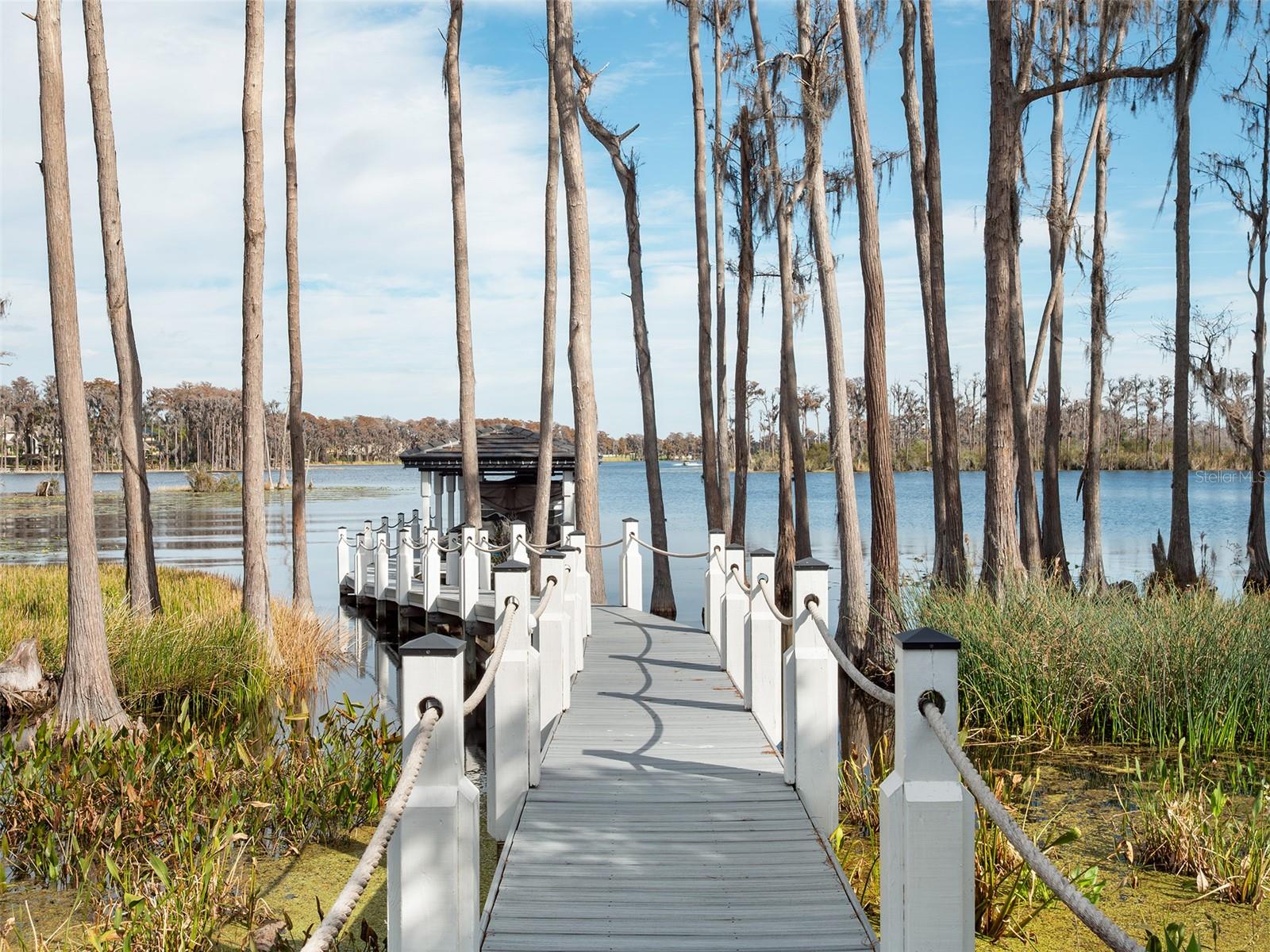 Listing photo id 42 for 6117 Louise Cove Drive