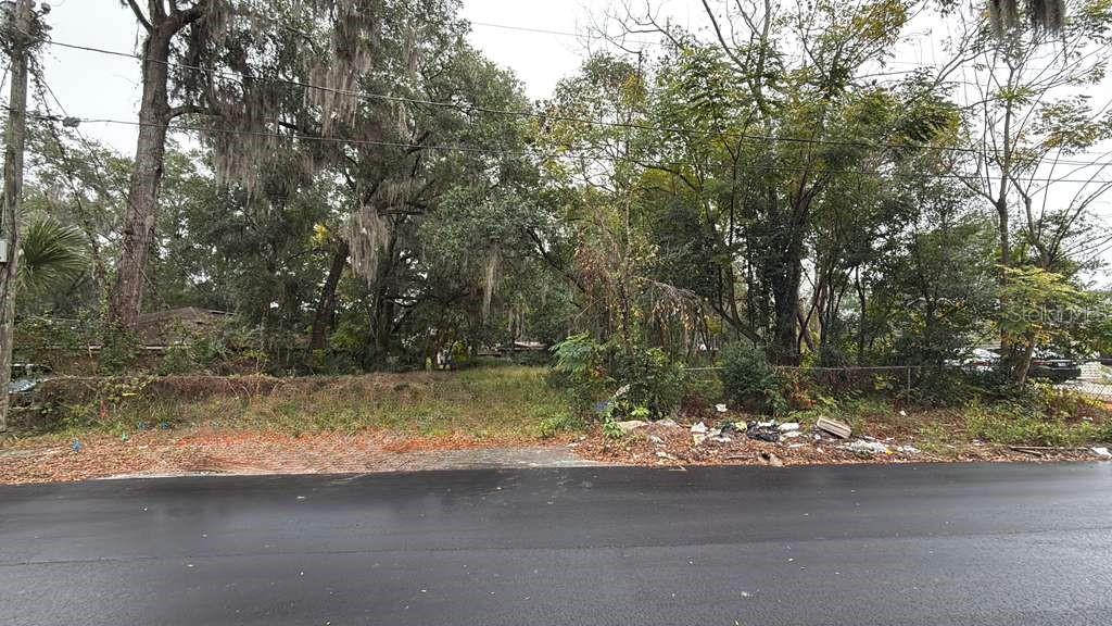 Image 4 of 6 For 239 Pine Street