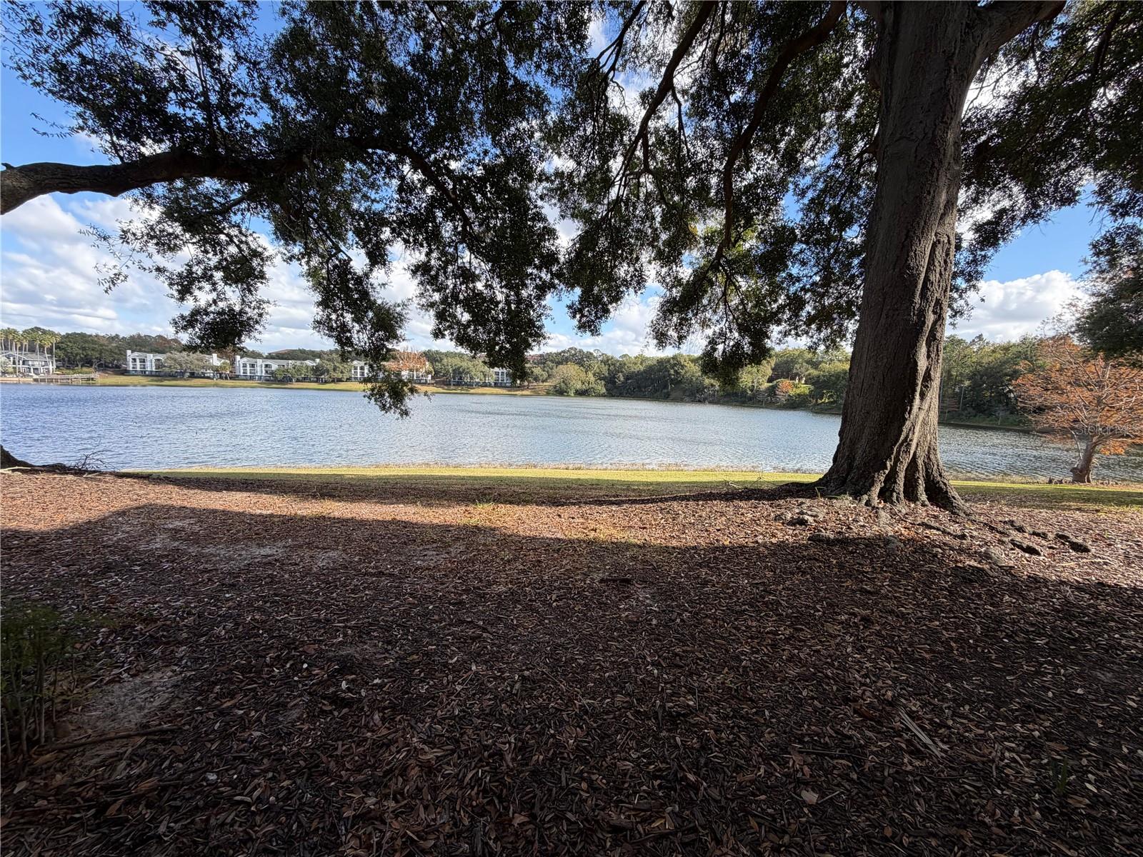 Image 15 of 17 For 1071 Hiawassee Road 1214