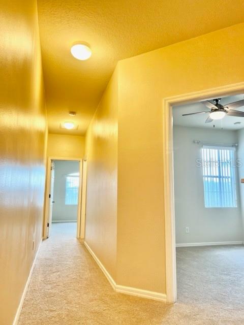 Image 10 of 24 For 519 Glastonbury Drive