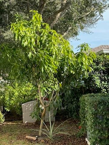 Image 18 of 19 For 30725 Lipizzan Terrace