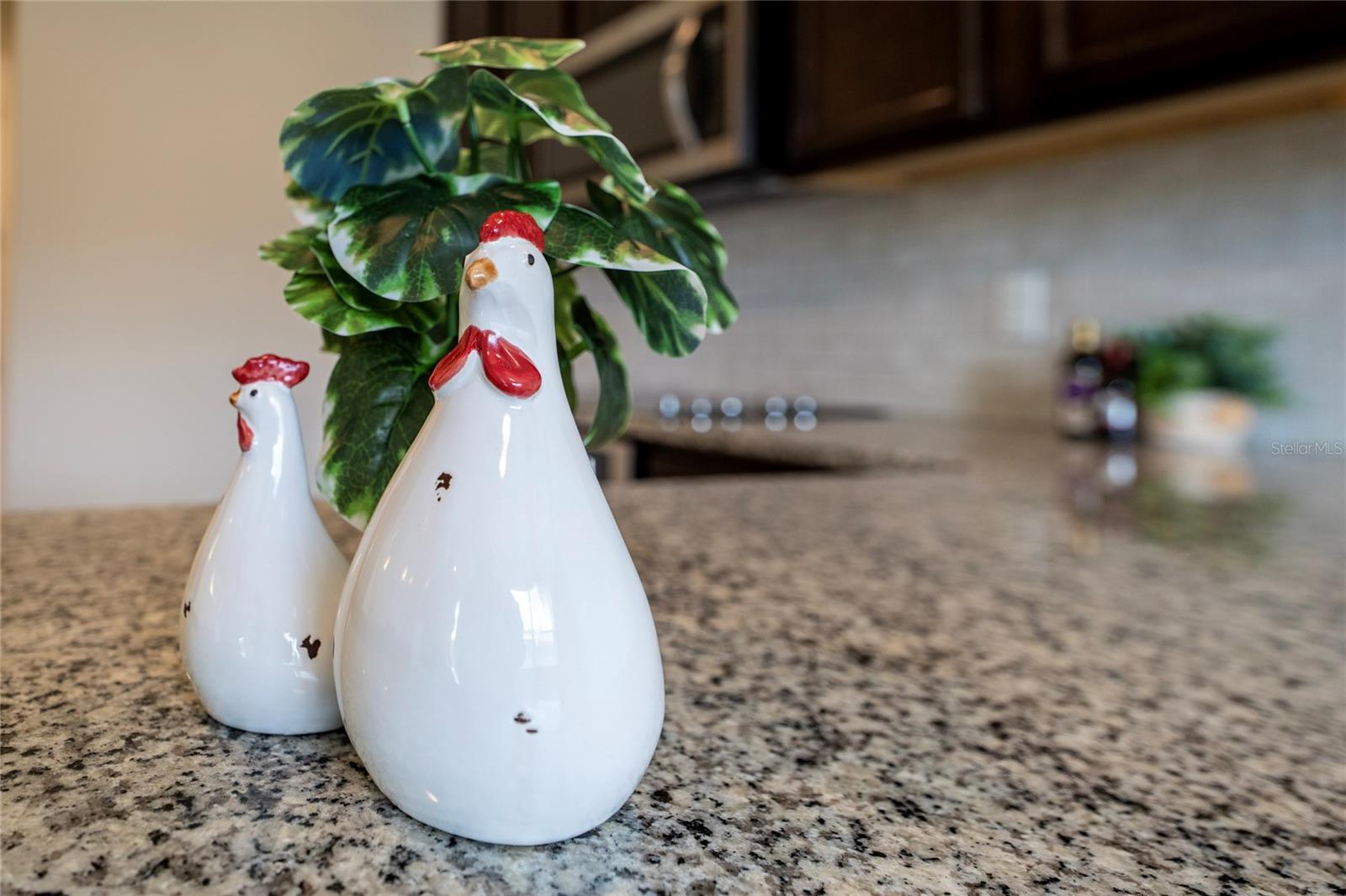 Image 12 of 43 For 247 Domus Lane