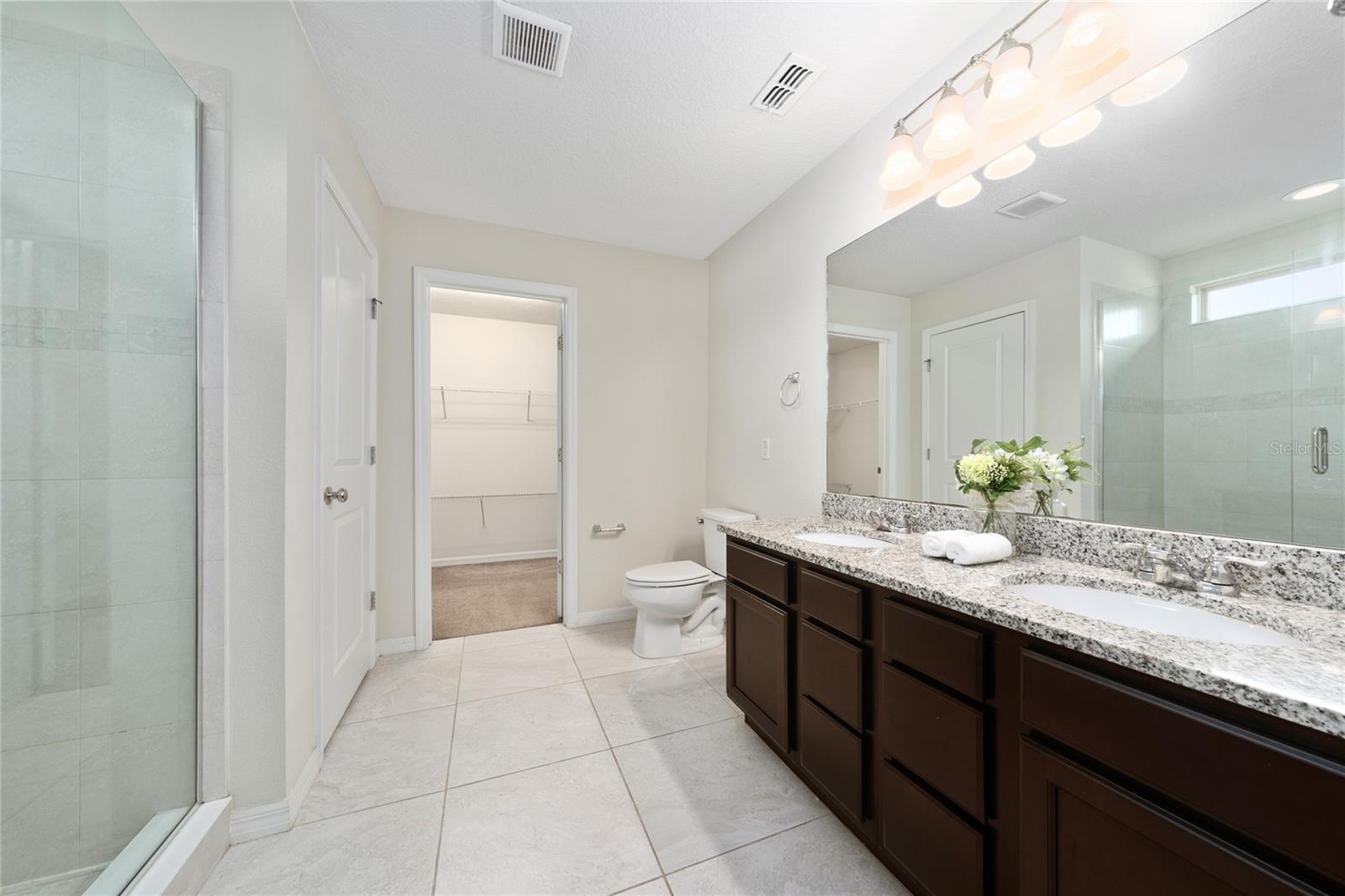 Image 19 of 43 For 247 Domus Lane