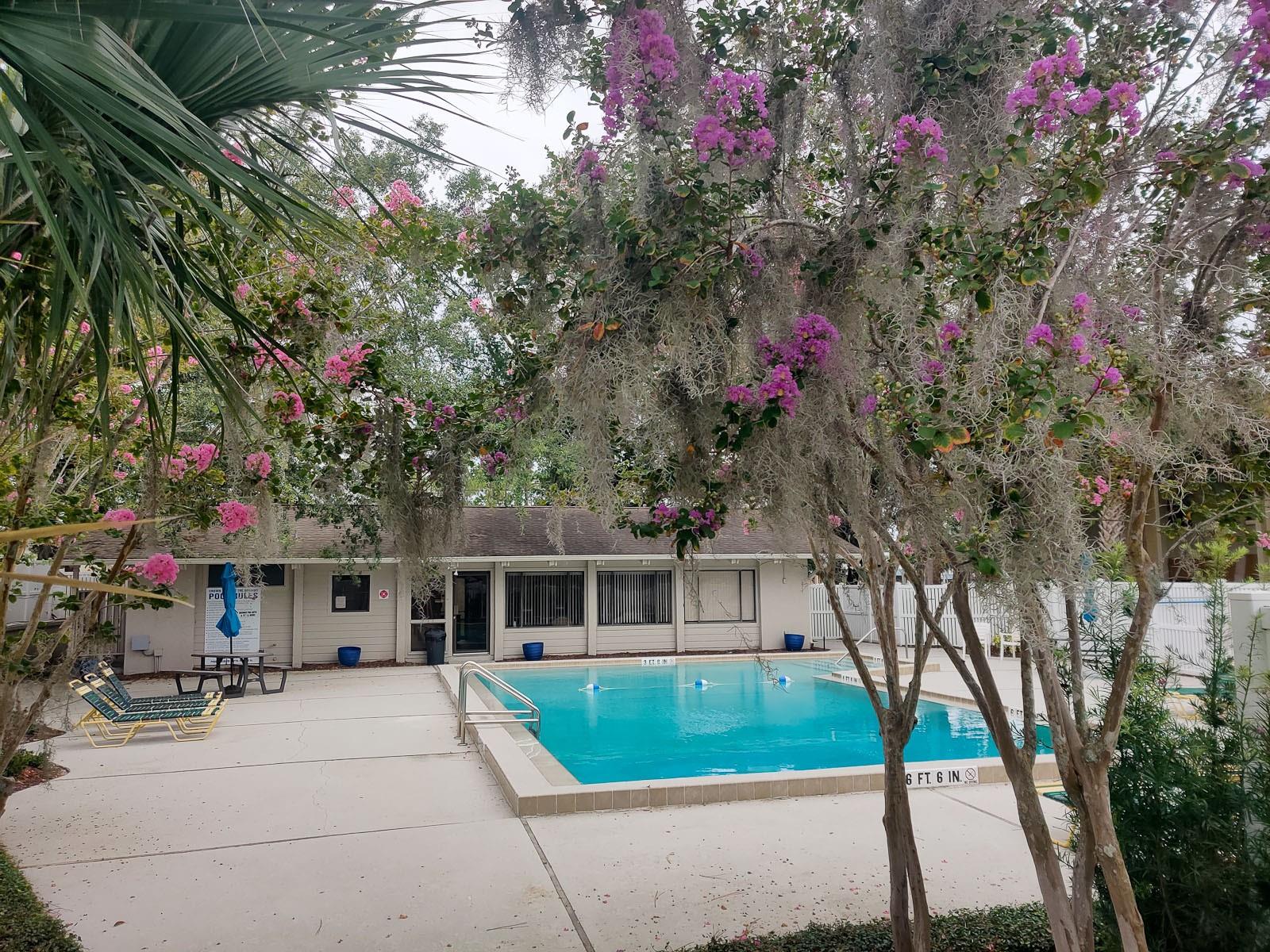 Image 21 of 21 For 117 Crown Point Cir  5l