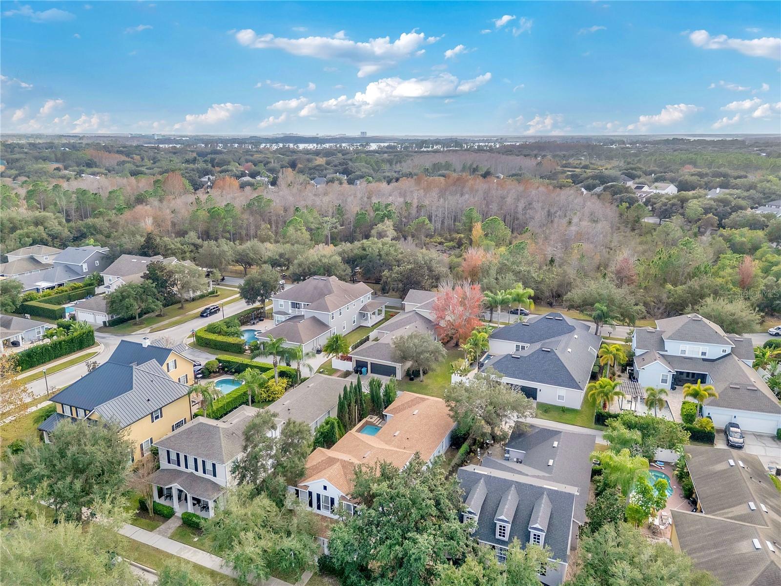 Image 49 of 57 For 10117 Sweetleaf Street